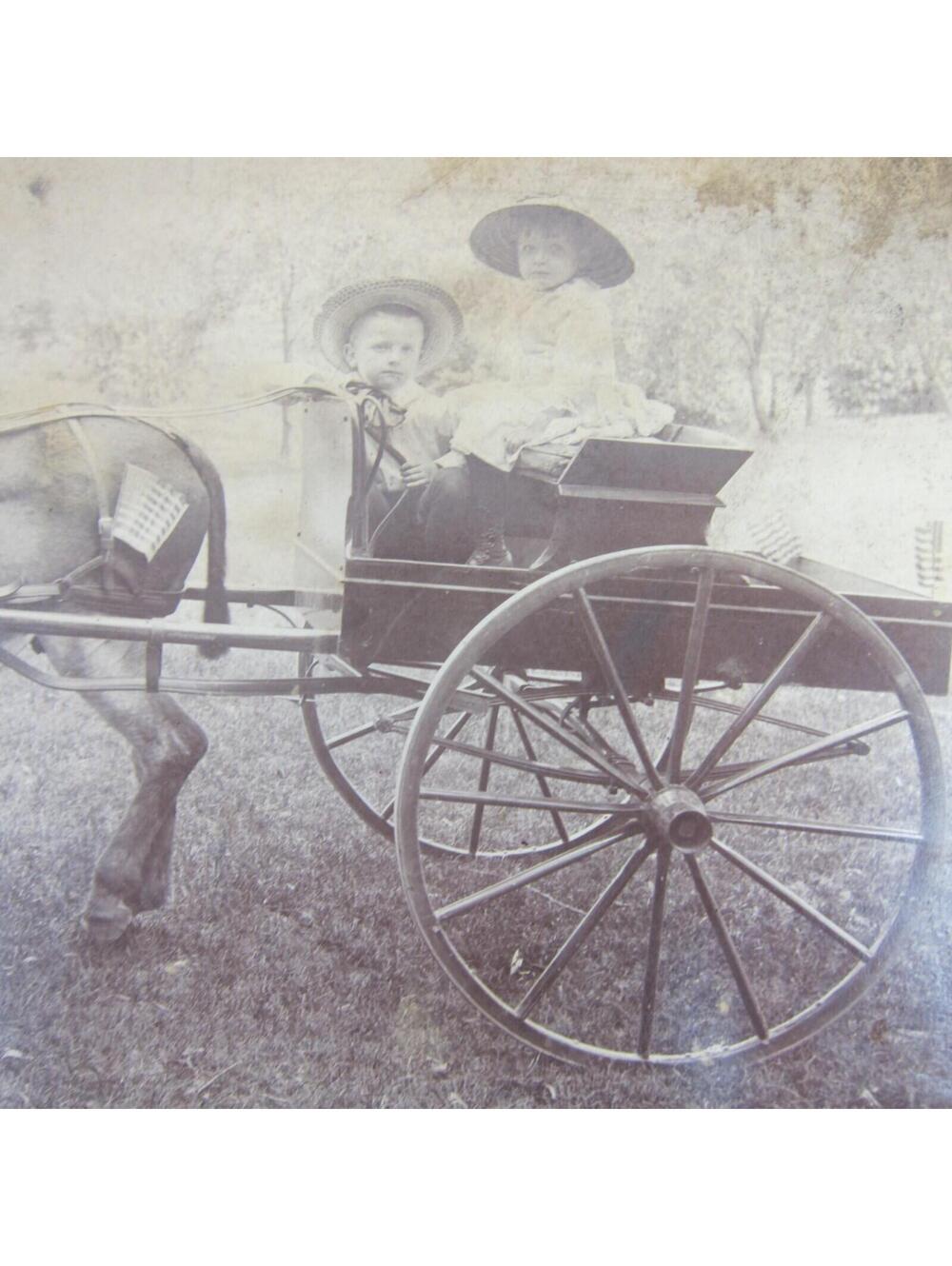 Antique Photographs 1880s Children Boy & Girl at Creek Ride Donkey Cart Lot of 4 - Picture 8 of 12